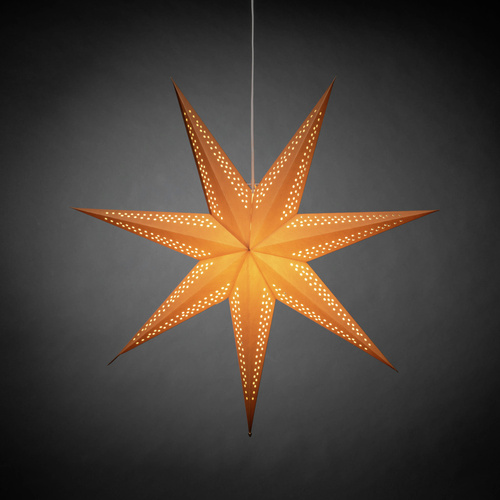 Konstsmide 5931-600 Weihnachtsstern Stern Braun mit Schalter