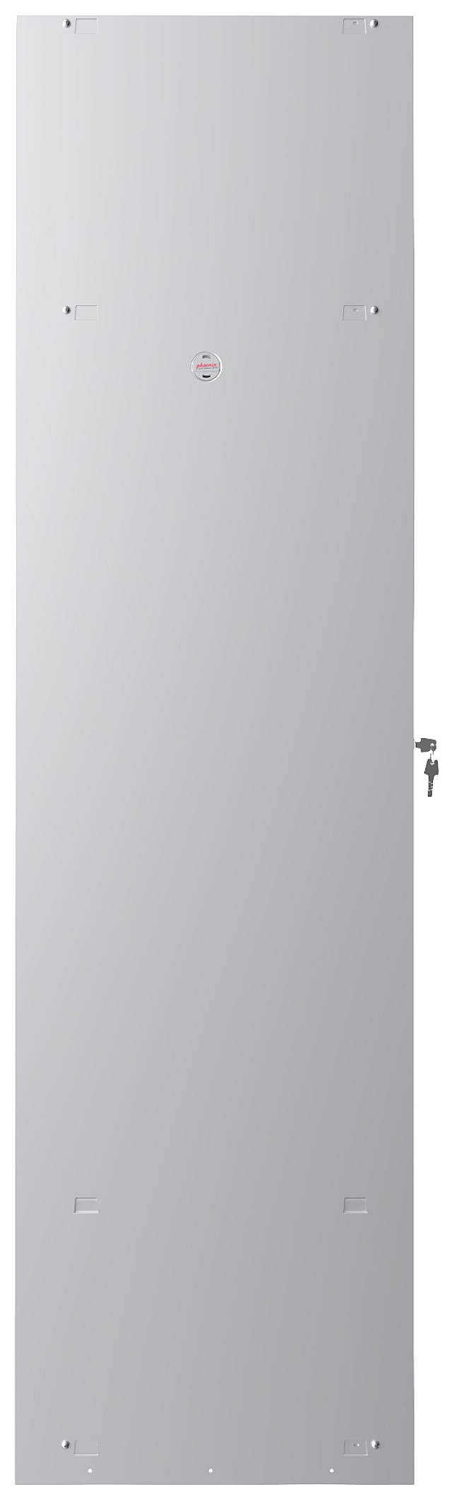 Phoenix PL1130GGK PL-Serie Spind Stahl mit Schlüsselschloss