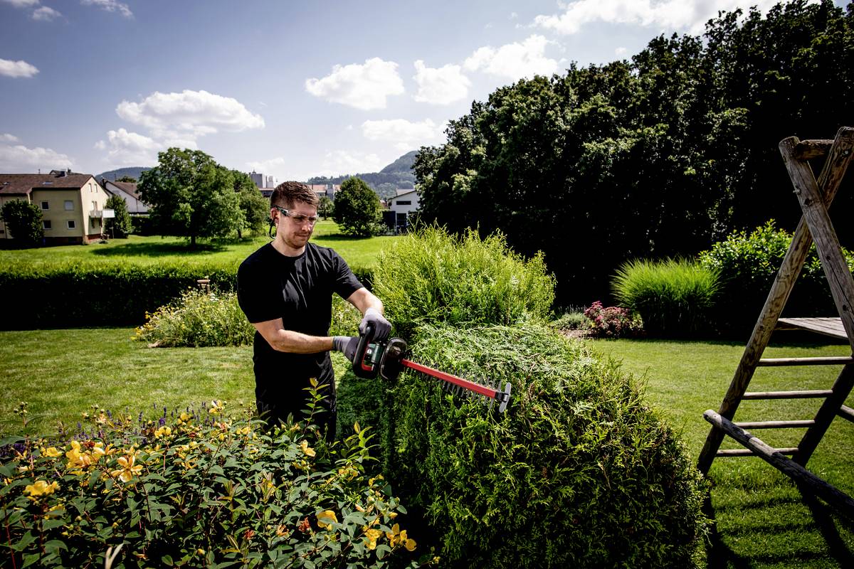 Ein Mann schneidet mit einer Heckenschere grüne Büsche in einem gepflegten Garten. Im Hintergrund sind Bäume und Gebäude sichtbar.