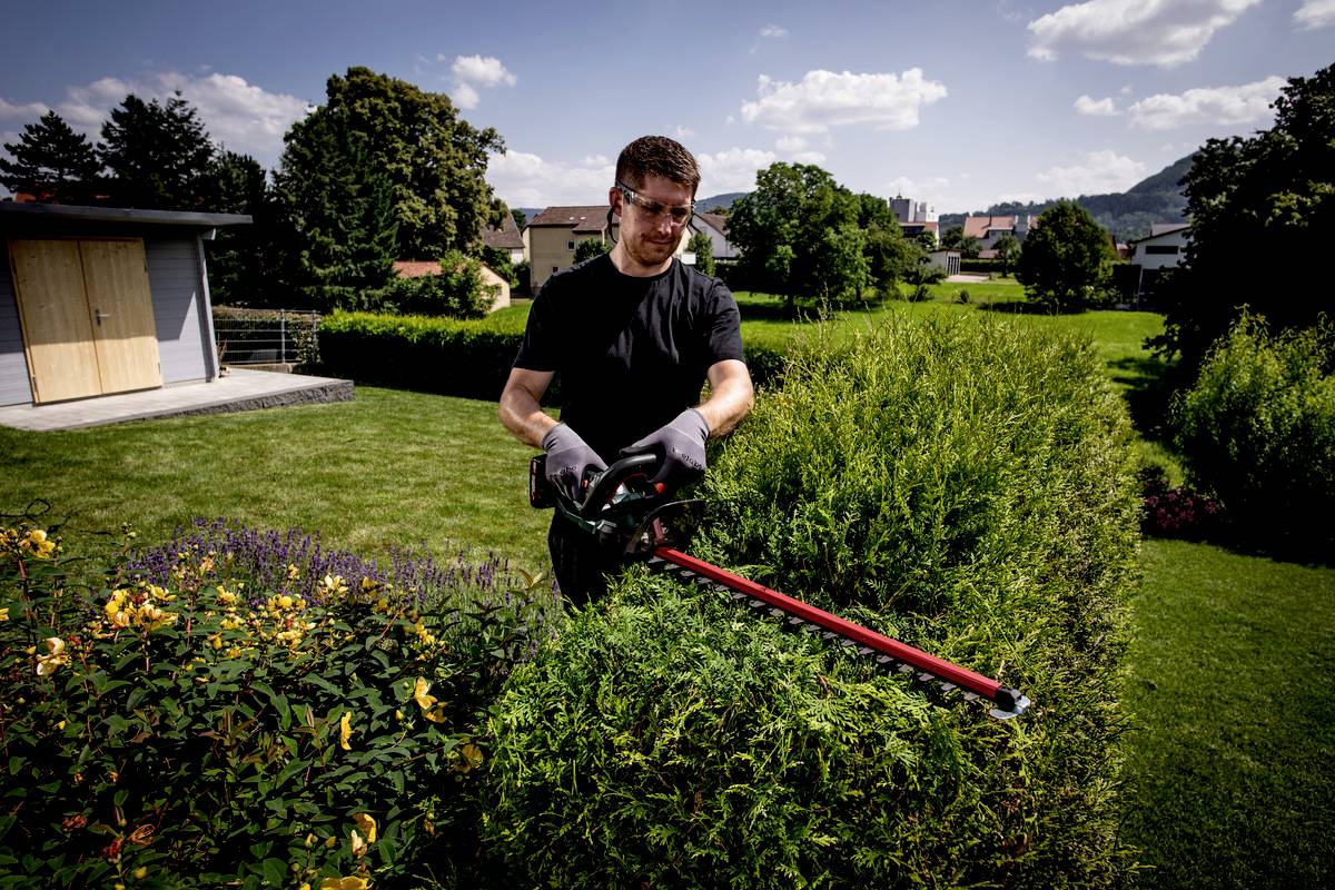 Mann schneidet Hecke mit einer elektrischen Heckenschere in einem Garten. Im Hintergrund Häuser und ein blauer Himmel mit Wolken.