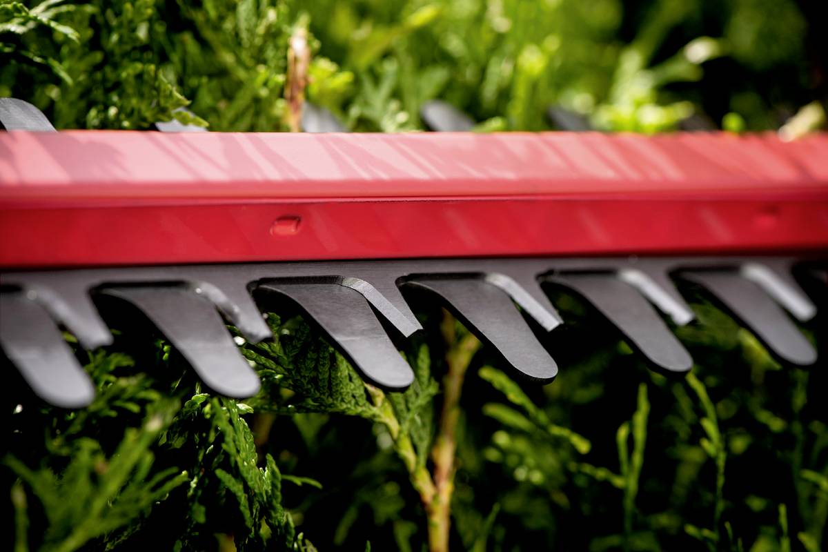 Eine rote Heckenschere schneidet grüne Zweige einer Hecke. Die schwarzen Klingen sind sichtbar und zeigen den Schneidvorgang.