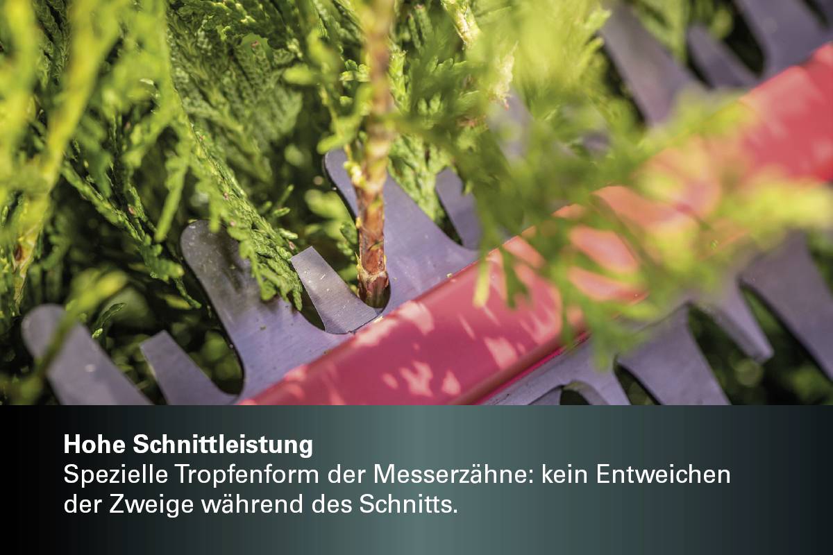 Heckenschere schneidet Zweige. Text: 'Hohe Schnittleistung. Spezielle Tropfenform der Messerzähne: kein Entweichen der Zweige während des Schnitts.'