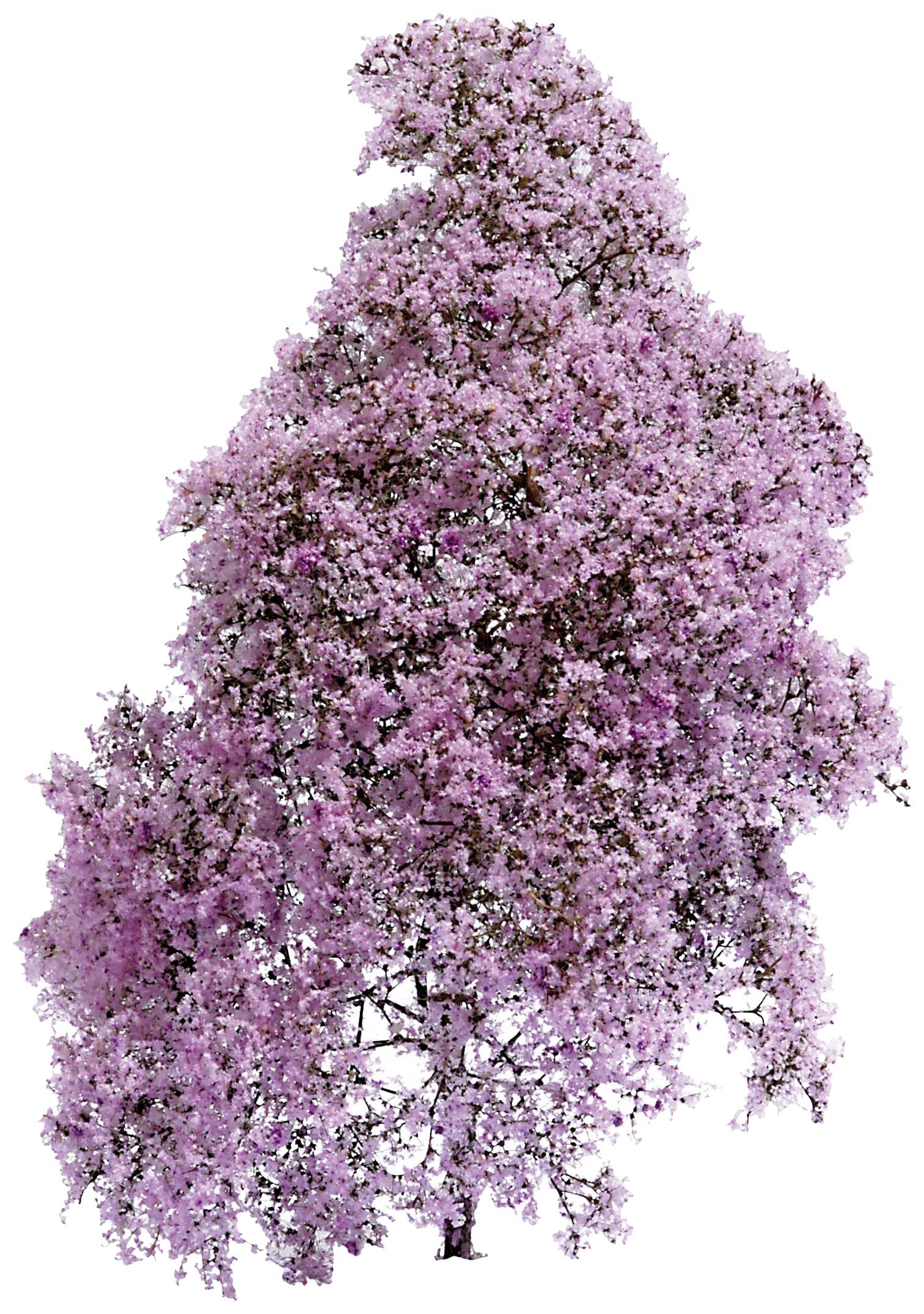 Busch 3587 Frühling Lila, Blühend