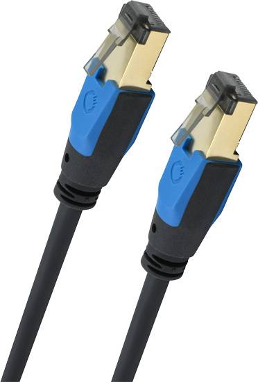 Zwei schwarze Netzwerkkabel mit blauen Steckverbindern, die auf einem weißen Hintergrund liegen.