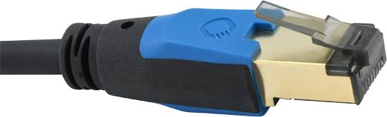 Ein Ethernet-Kabel mit blauem Steckerkopf und goldener Kontaktfläche, verwendet für Netzwerkanbindungen.