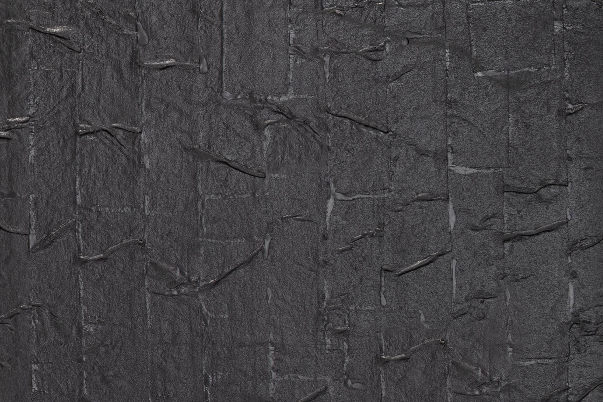 Auhagen 52245 H0, TT Dächer Schwarz (L x B) 200mm x 100mm