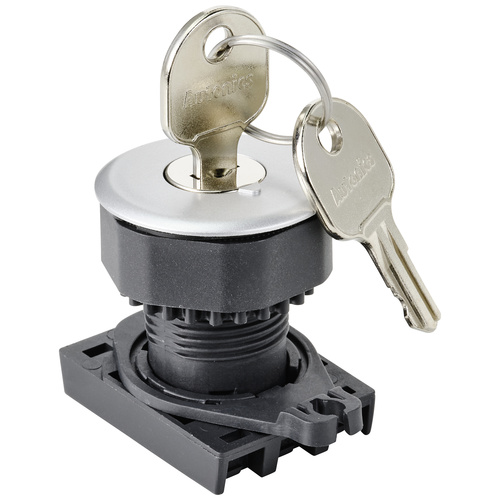 TRU COMPONENTS TC-10343992 S3KF-2DS Schlüsselschalter-Frontelement Schlüssel Silber 1 x 90 ° 1 St.