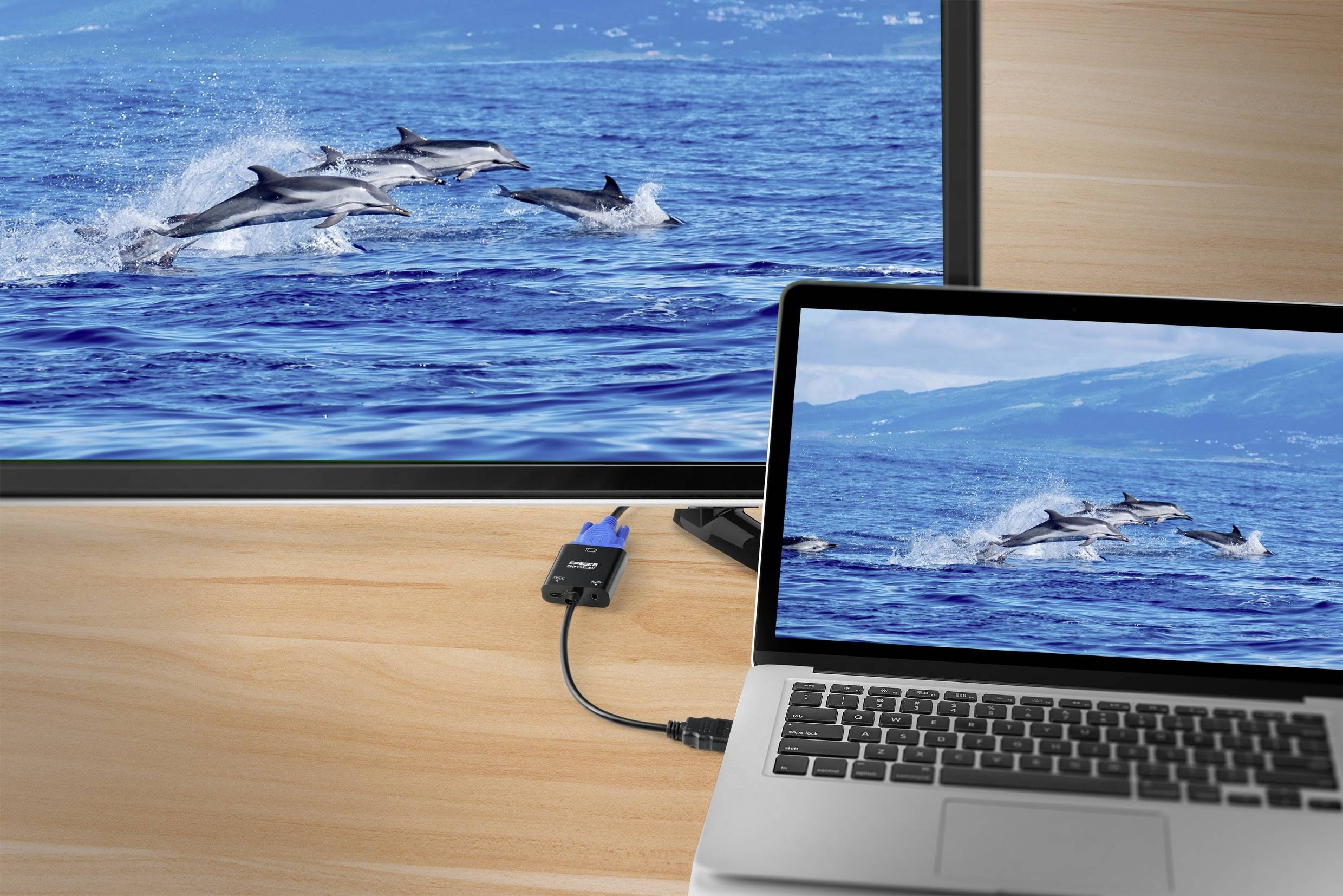 Laptopschirm zeigt Delfine im Meer; externer Monitor dupliziert das Bild. Beide Bildschirme sind über ein VGA-Kabel verbunden.