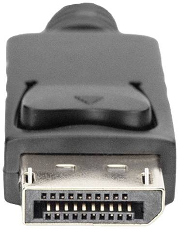 Ein schwarzer DisplayPort-Stecker aus Kunststoff mit sichtbaren Anschlussstiften an der Vorderseite.