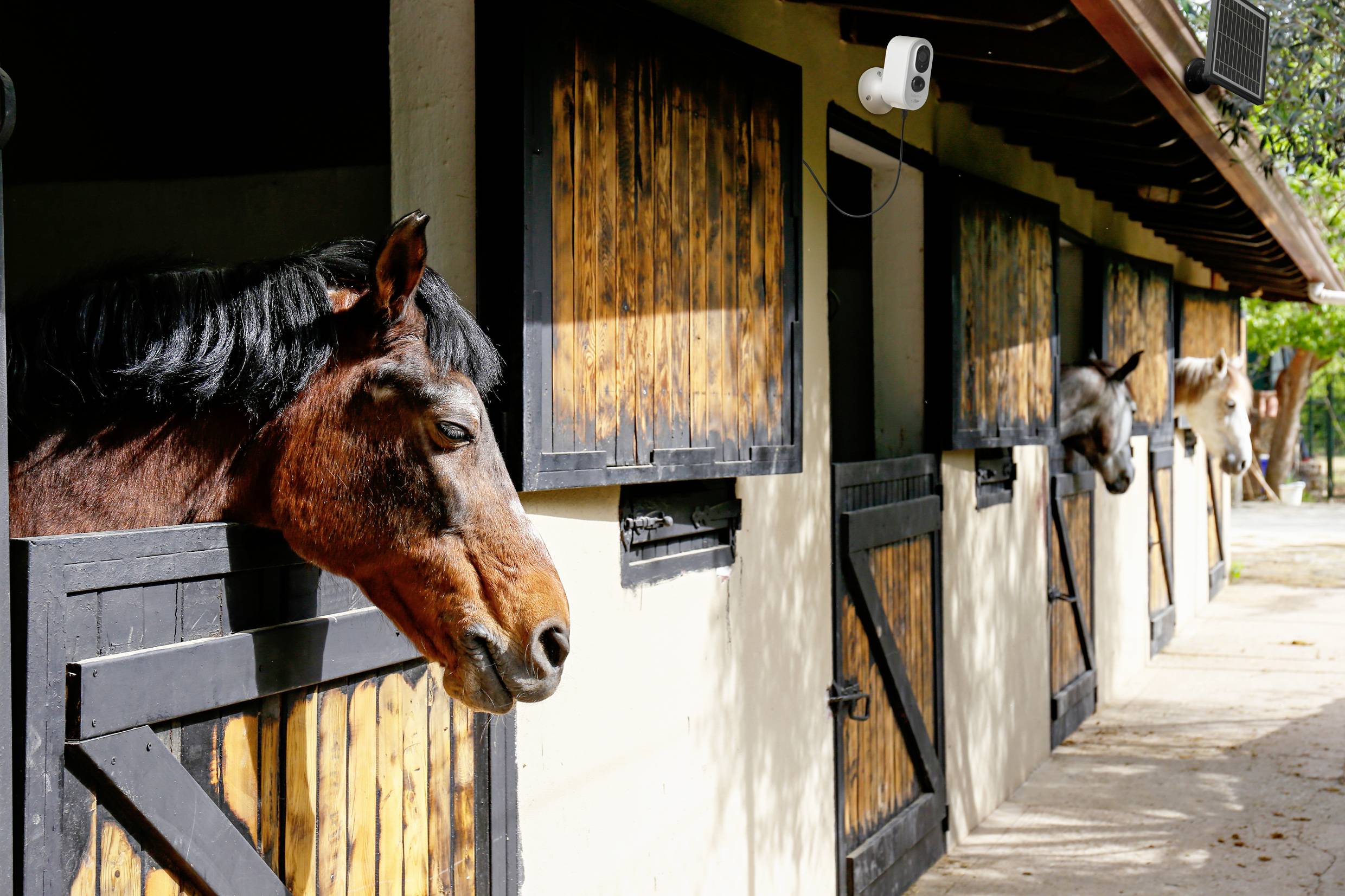 Sygonix SY-5177732 WLAN IP Überwachungskamera 1920 x 1080 Pixel