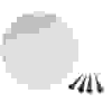 Müller-Licht Solar-Dekoleuchte tint Calluna Solar 45 cm, white+color 404074 LED 0.5 W RGBW Weiß