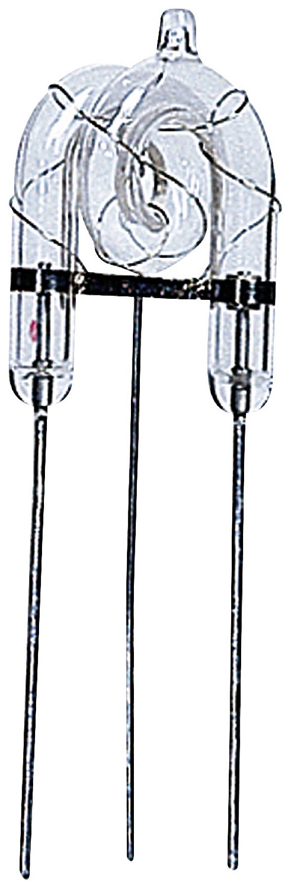 Ein Glimmlampe mit Glasgehäuse und zwei langen Elektroden, die für elektrische Indikatoren oder dekorative Beleuchtung verwendet wird.