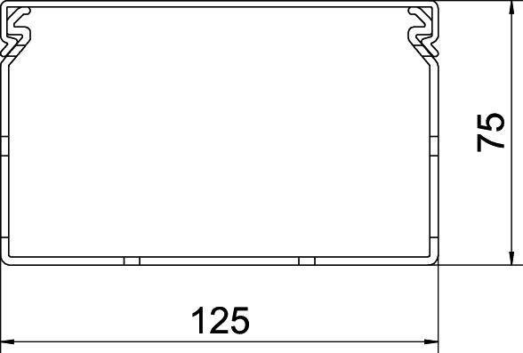 Technische Zeichnung einer rechteckigen Form mit den Maßen 125 mm Breite und 75 mm Höhe.