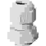 Hensel 36001078 Kabelverschraubung schlagfest, mit Gegenmutter, mit Zugentlastung, mit Dichtung M20 Kunststoff Grau 20St.