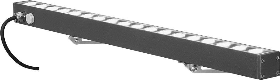 Schwarz-weißes Bild eines gefrorenen Fischstabes, leicht diagonal platziert.