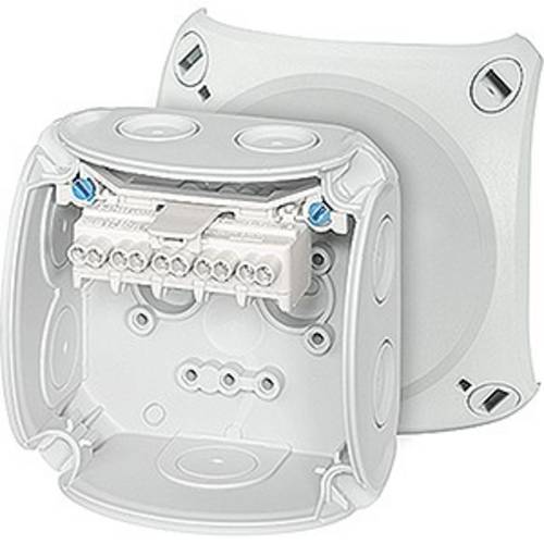 Hensel 62000001 Abzweigkasten (L x B x H) 93 x 93 x 62 mm Grau IP66 1 St.