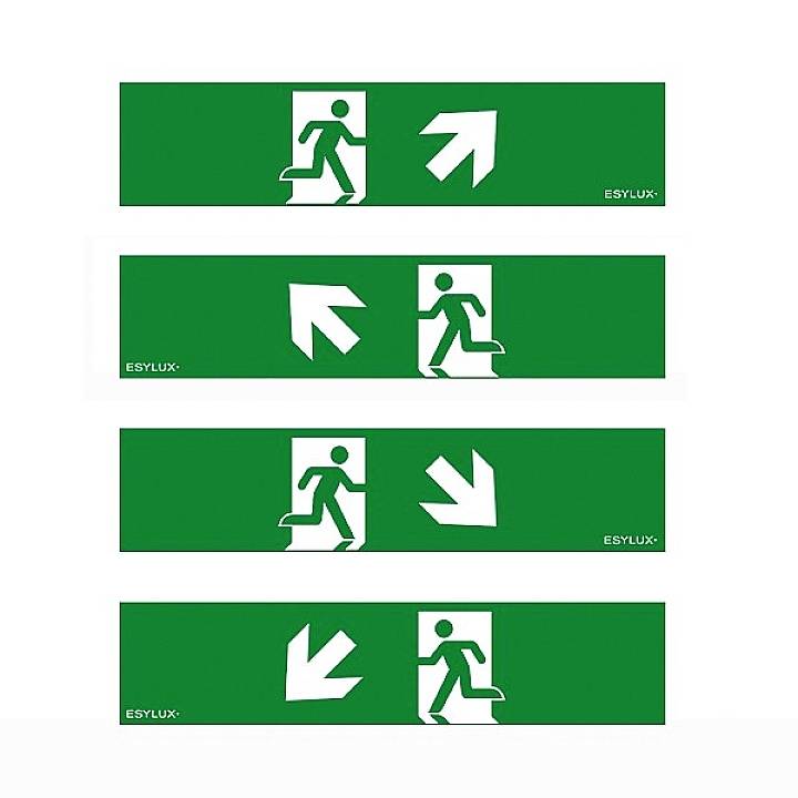 ESYLUX EN10032707 Piktogramm Ausgang