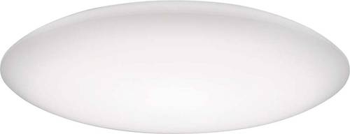 Trilux 6889500 Ersatzwanne Wanne 74R WD3 Ersatz 1St.
