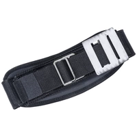 Allit DinoPlus Strap L, sw 458891 Tragegurt für Werkzeugkoffer 1 Stück (L x B) 1430mm x 85mm Allit DinoPlus Strap L, sw 458891 Tragegurt für Werkzeugkoffer 1 Stück (L x B) 1430mm x 85mm