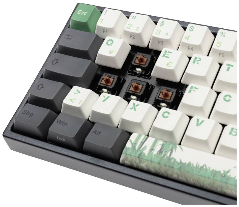 Ducky Miya Pro Panda V2 Edition TKL Kabelgebunden Tastatur, Gaming-Tastatur Deutsch, QWERTZ Schwarz/Weiß Beleuchtet