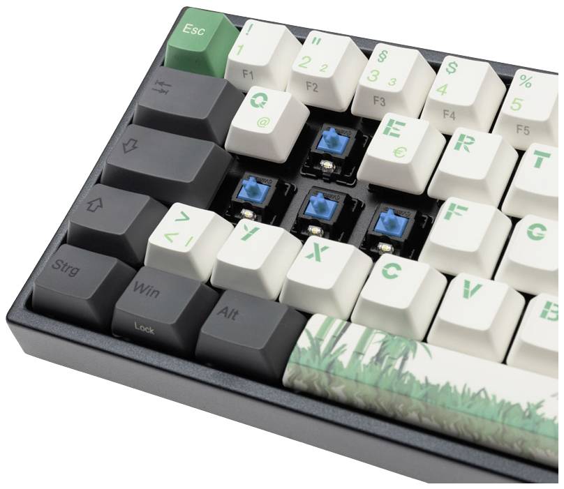 Ducky Miya Pro Panda V2 Edition TKL Kabelgebunden Tastatur, Gaming-Tastatur Beleuchtet Deutsch, QWERTZ Schwarz/Weiß