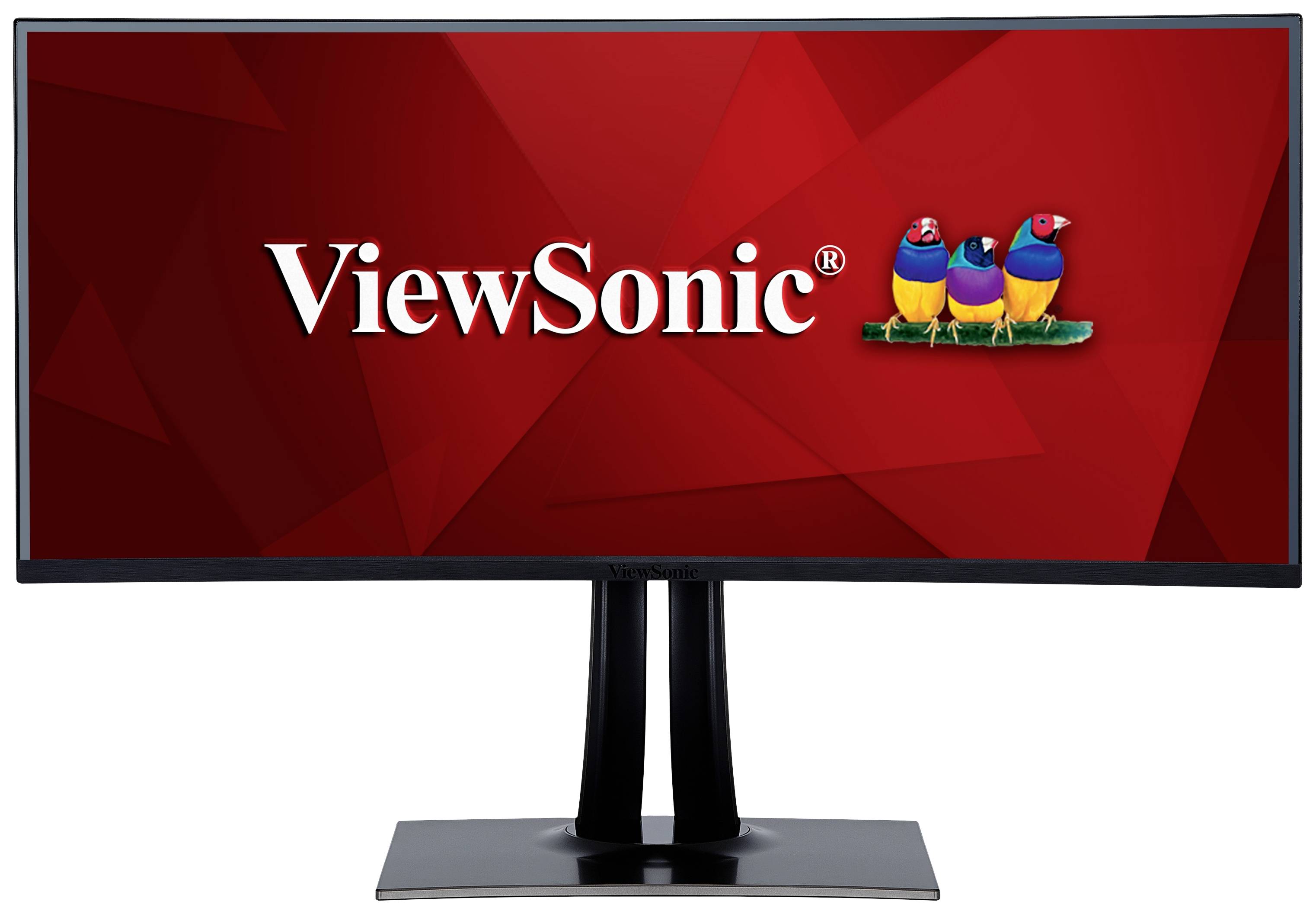Großer gebogener Monitor mit rotem Hintergrund und der weißen Aufschrift 'ViewSonic'. Daneben sitzen drei bunte Vögel.