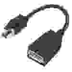 Lenovo 4X90Q93975 Mini-DisplayPort Adapter [1x - 1x DisplayPort] Schwarz