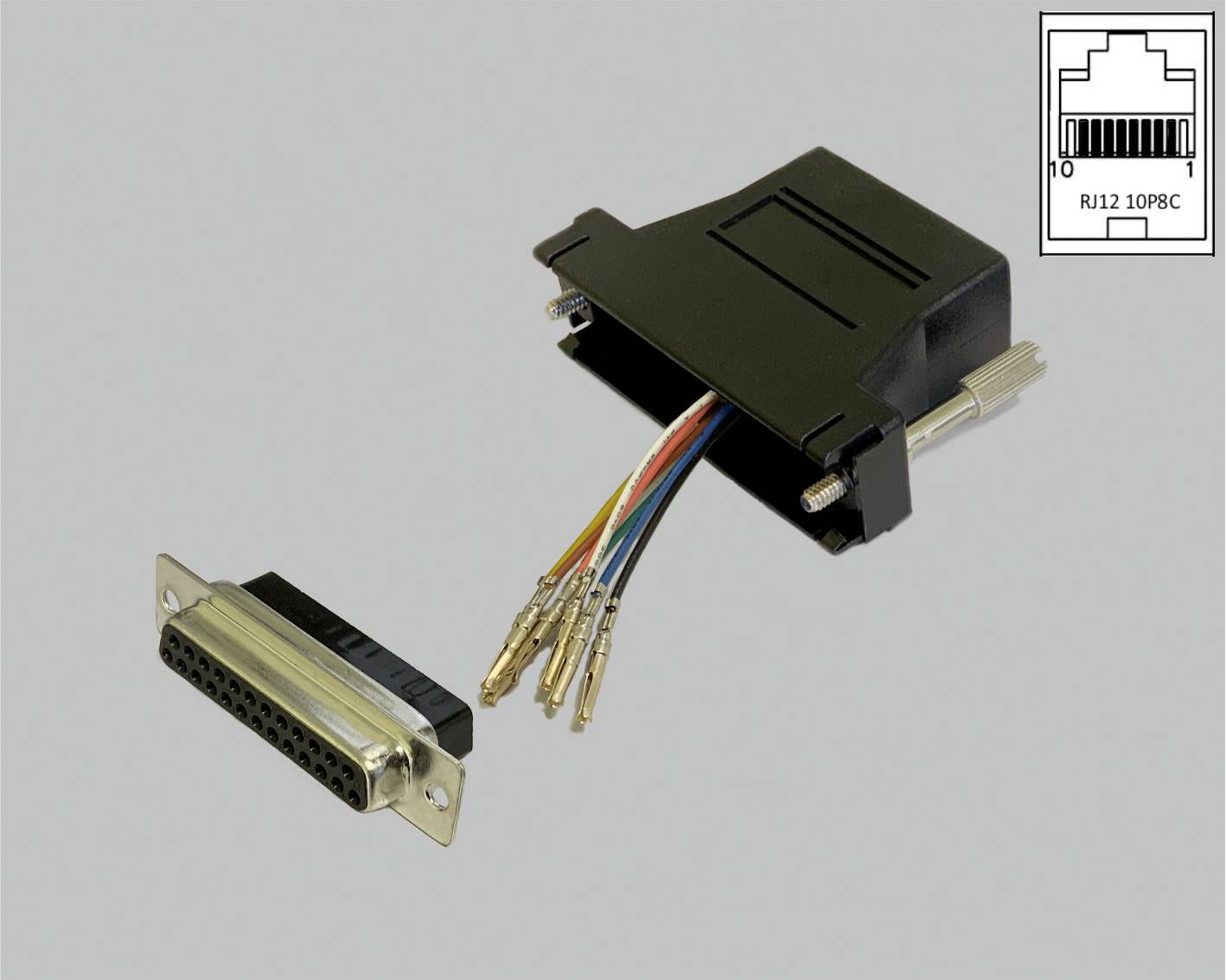 BKL Electronic 10121131 Adapter D-SUB-Buchse 25pol. - RJ45-Buchse 1 St. Single