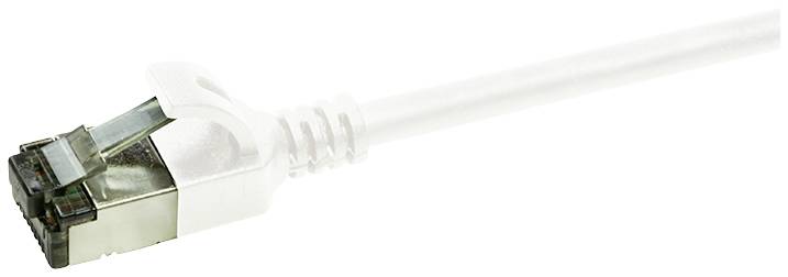 Ein silbernes Ethernet-Kabel mit Transparenzeffekt auf einem weißen Hintergrund, zeigt einen RJ45-Stecker.