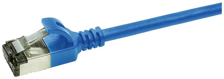 Ein blaues Ethernet-Kabel mit einem RJ45-Stecker.