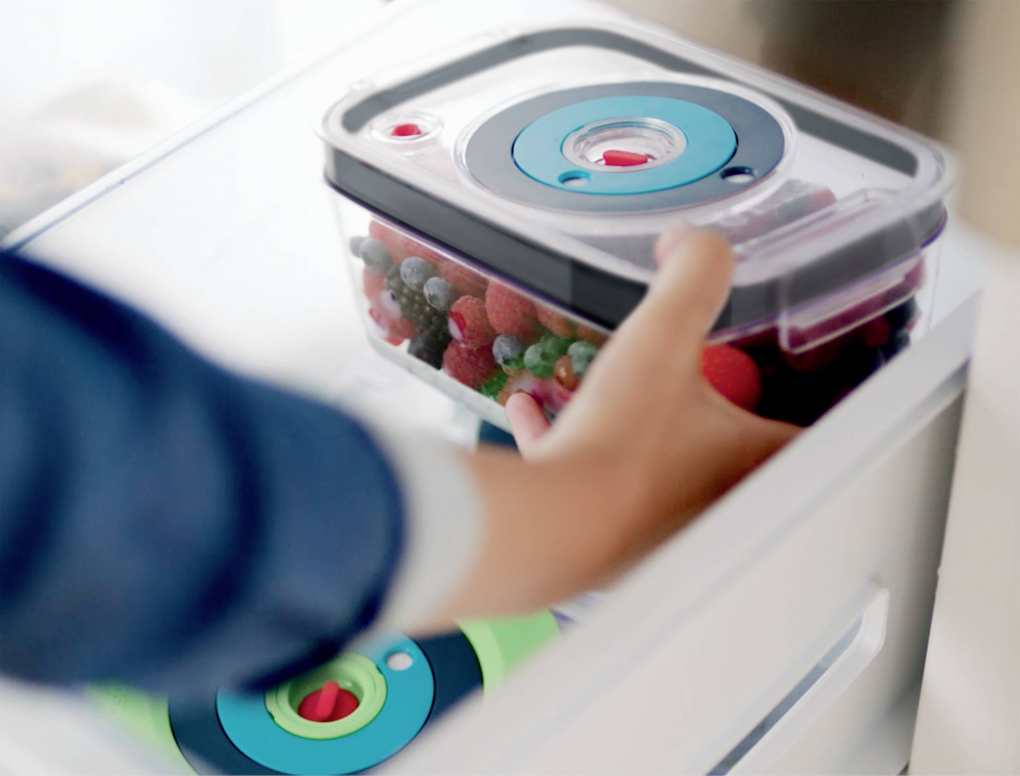 Eine Hand platziert eine verschlossene Kunststoffbox mit Beeren in einen Kühlschrank oder Gefrierschrank.