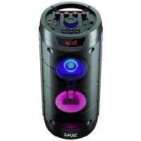 R-Music BOOSTER L Party Lautsprecher 1St. R-Music BOOSTER L Party Lautsprecher 1St.