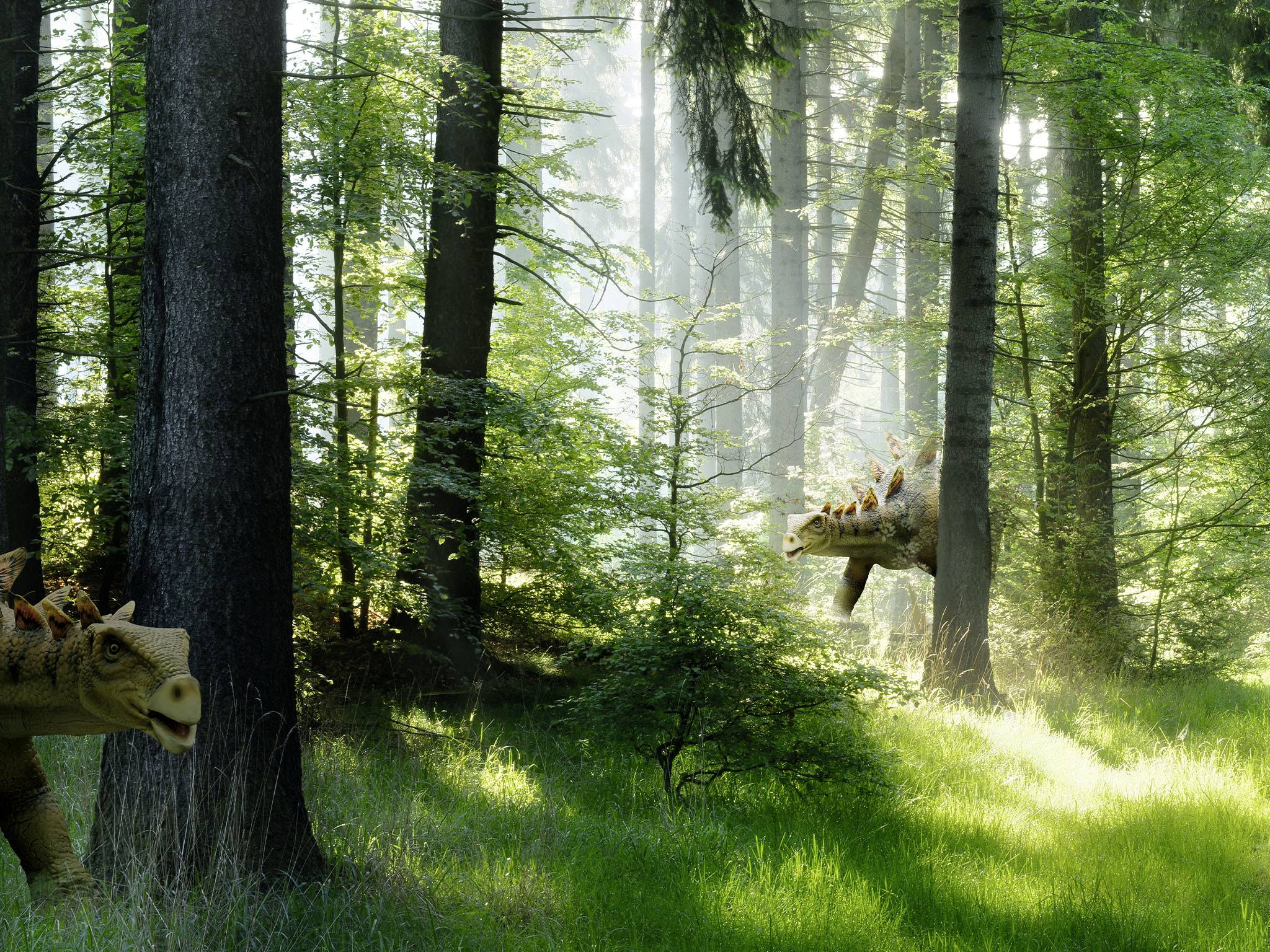 Revell Control 23563 RC Mini Dino Stegosaurus RC Modellauto Elektro Buggy inkl. Akku und Ladekabel