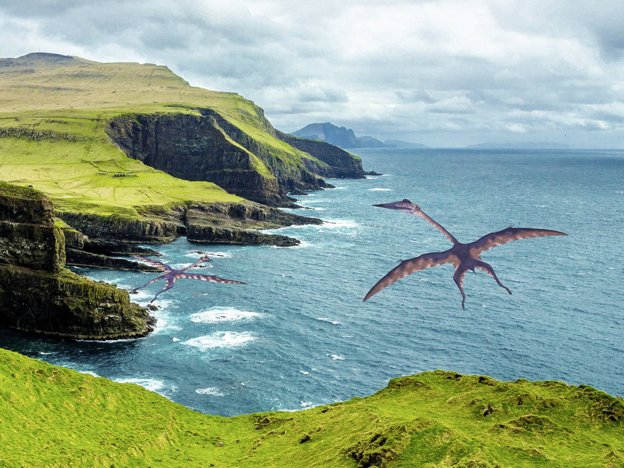 Revell Control 23565 RC Mini Dino Quetzalcoatlus RC Modellauto Elektro Buggy inkl. Akku und Ladekabel