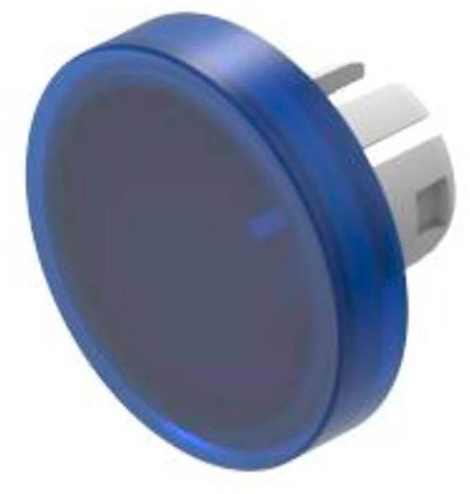 Runder, blauer Knopf mit klarer Abdeckung, perspektivisch von der Seite gezeigt.