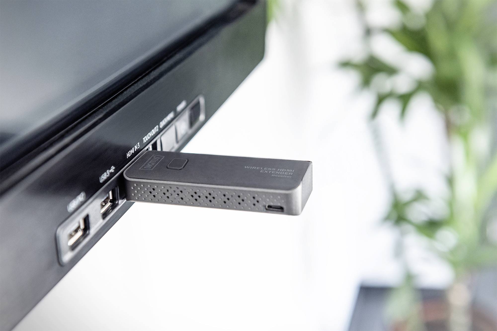 Ein USB-Stick ist in einen seitlichen Anschluss eines Fernsehers eingesteckt. Im Hintergrund sind verschwommene Pflanzen sichtbar.