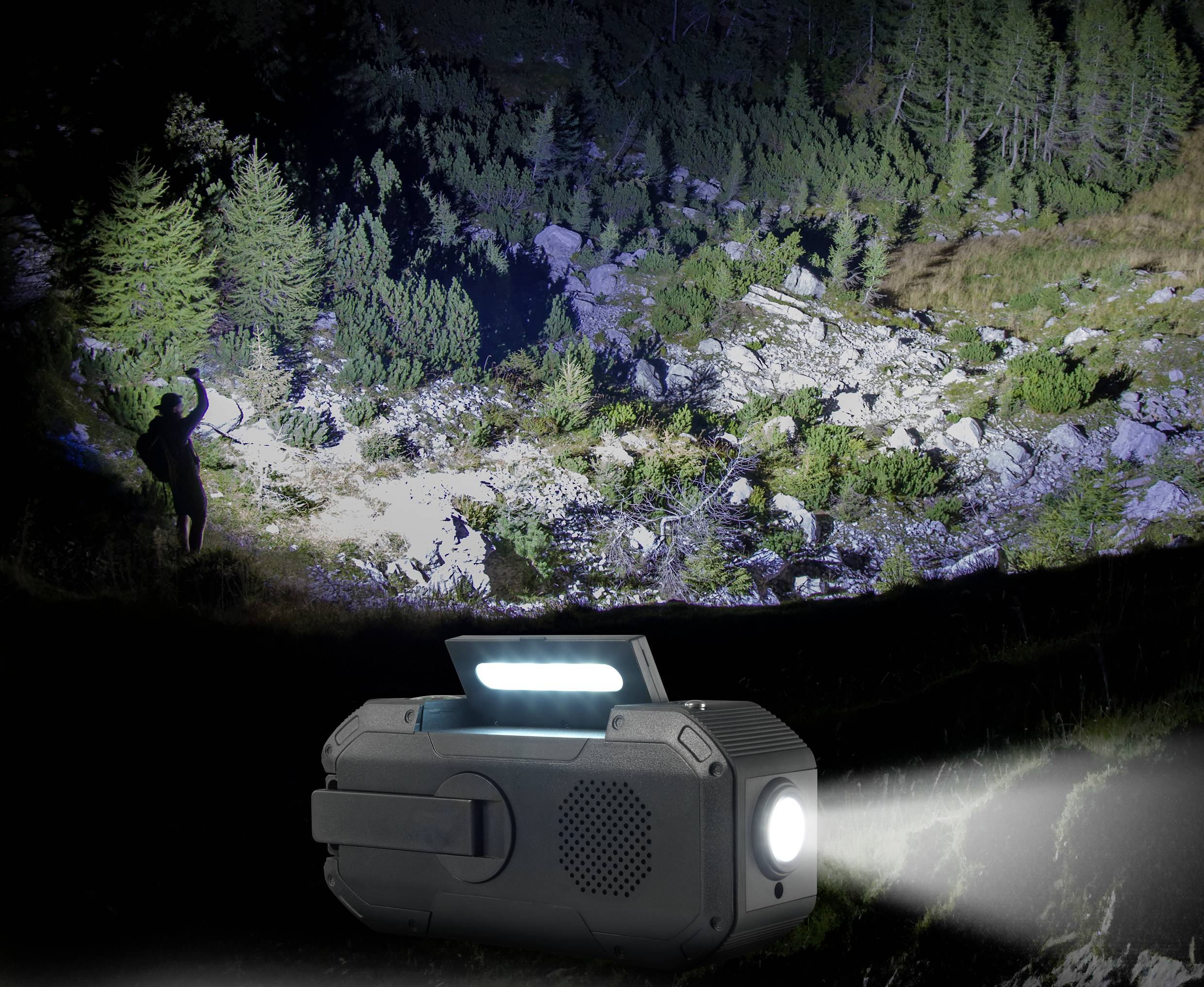 Eine Taschenlampe beleuchtet einen bewaldeten Hang in der Nacht, während ein Tier am linken Rand der Szene steht.