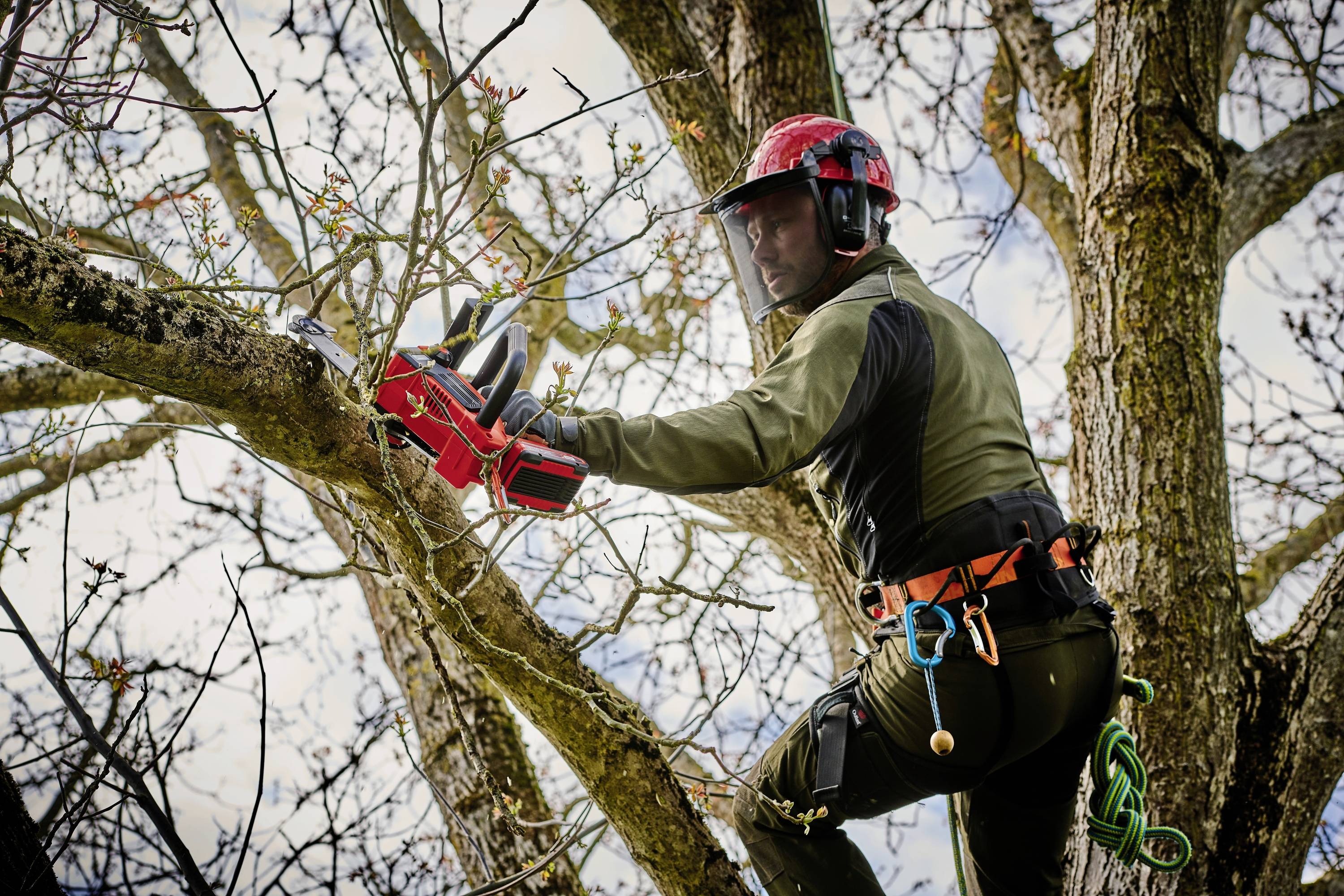 Einhell Professional FORTEXXA 18/20 TH Akku Akku-Kettensäge ohne Akku, ohne Ladegerät 18V Schwertlänge 200mm