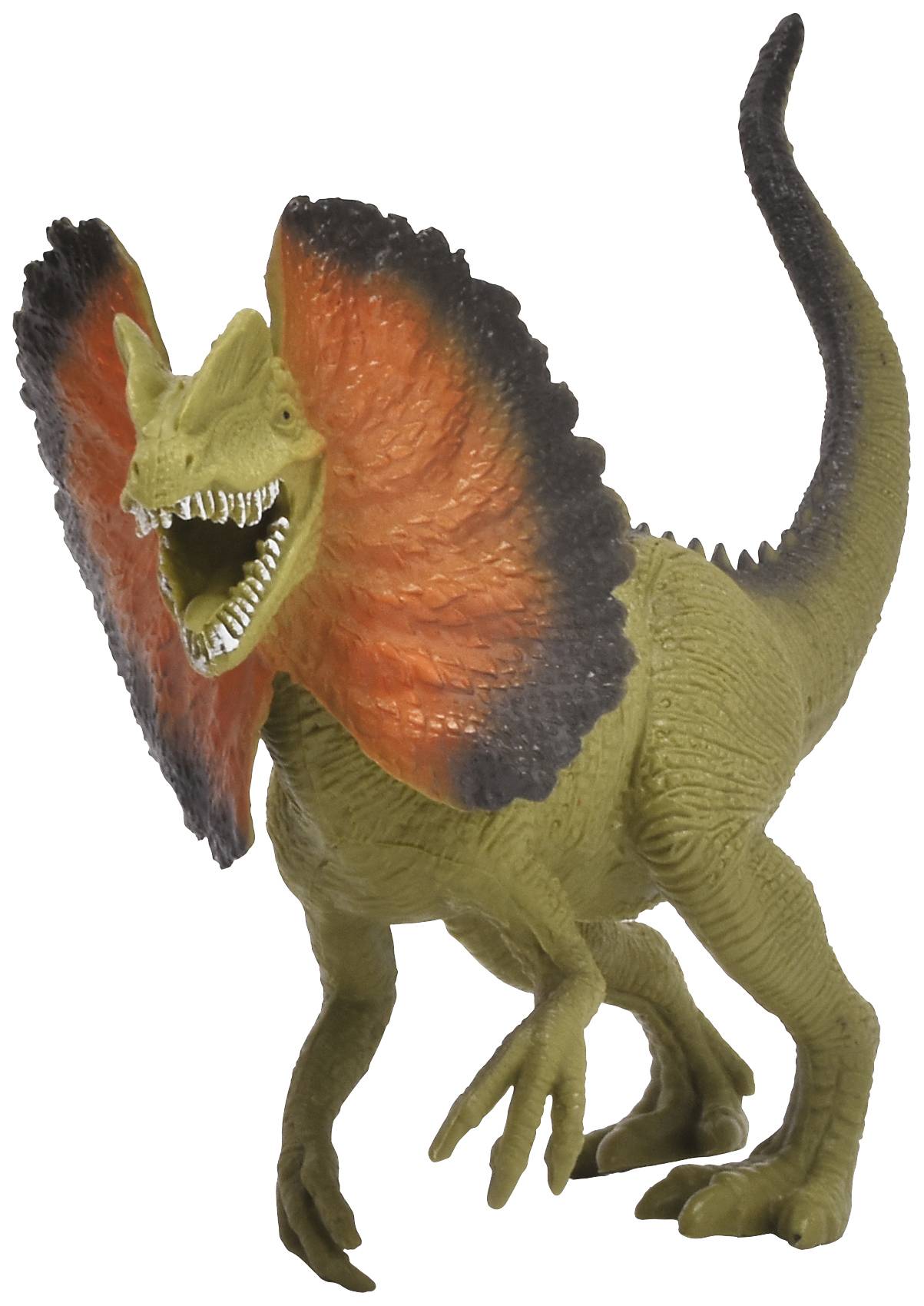 Ein Dinosaurier mit auffälligem Nackenschild in Rot und Schwarz, zeigt weit geöffnete Zähne. Es steht auf zwei Beinen mit erhobener Haltung.