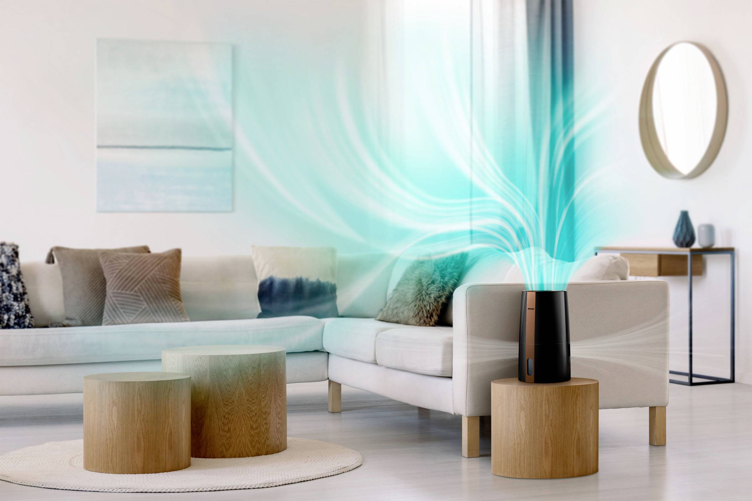 Philips 3000er Serie HU3918/10 Luftbefeuchter 1 St. Schwarz, Kupfer