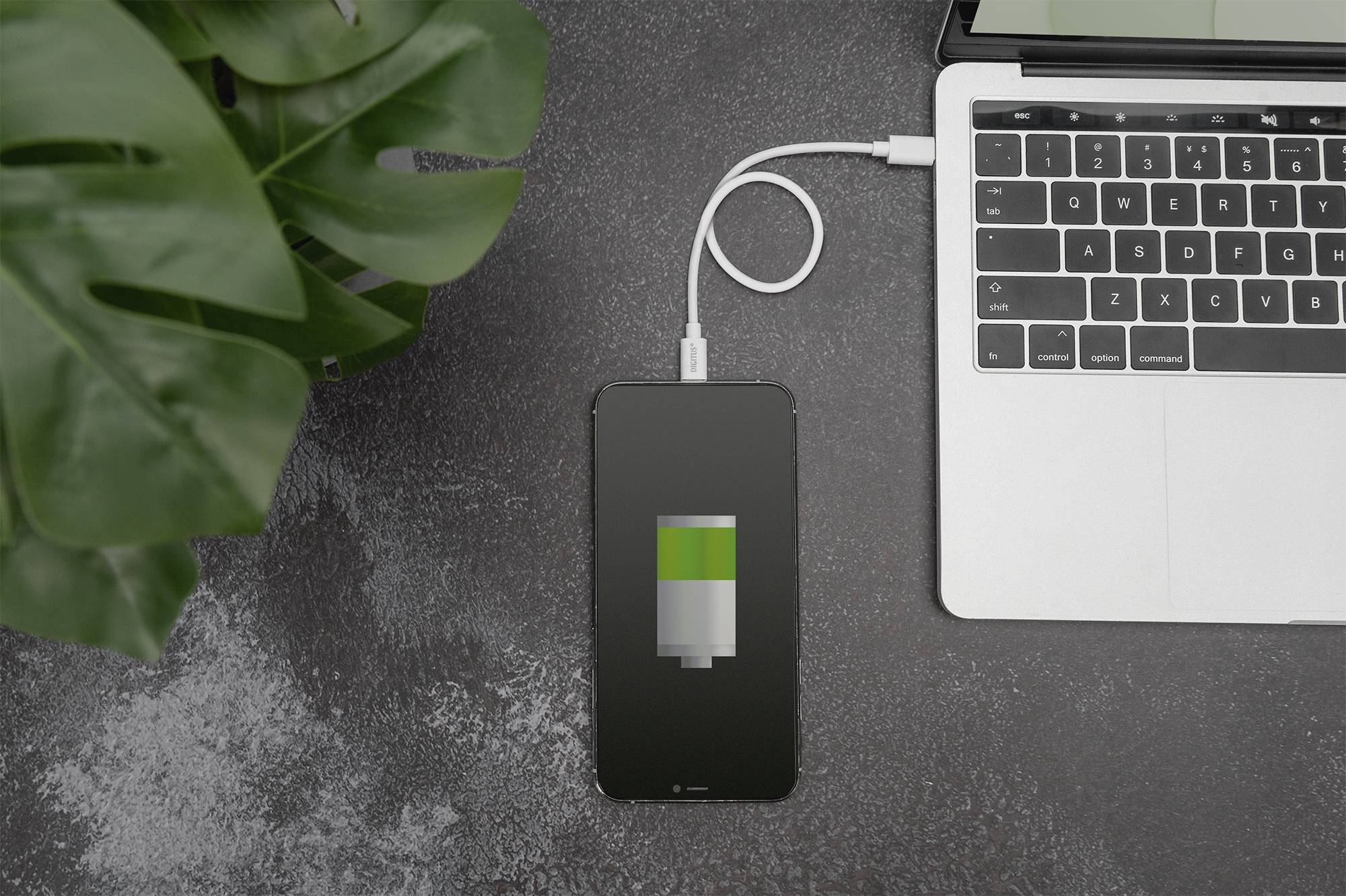 Smartphone, das über ein Kabel an einen Laptop angeschlossen ist, zeigt einen Ladevorgang mit einem grünen Batteriesymbol auf dem Bildschirm.