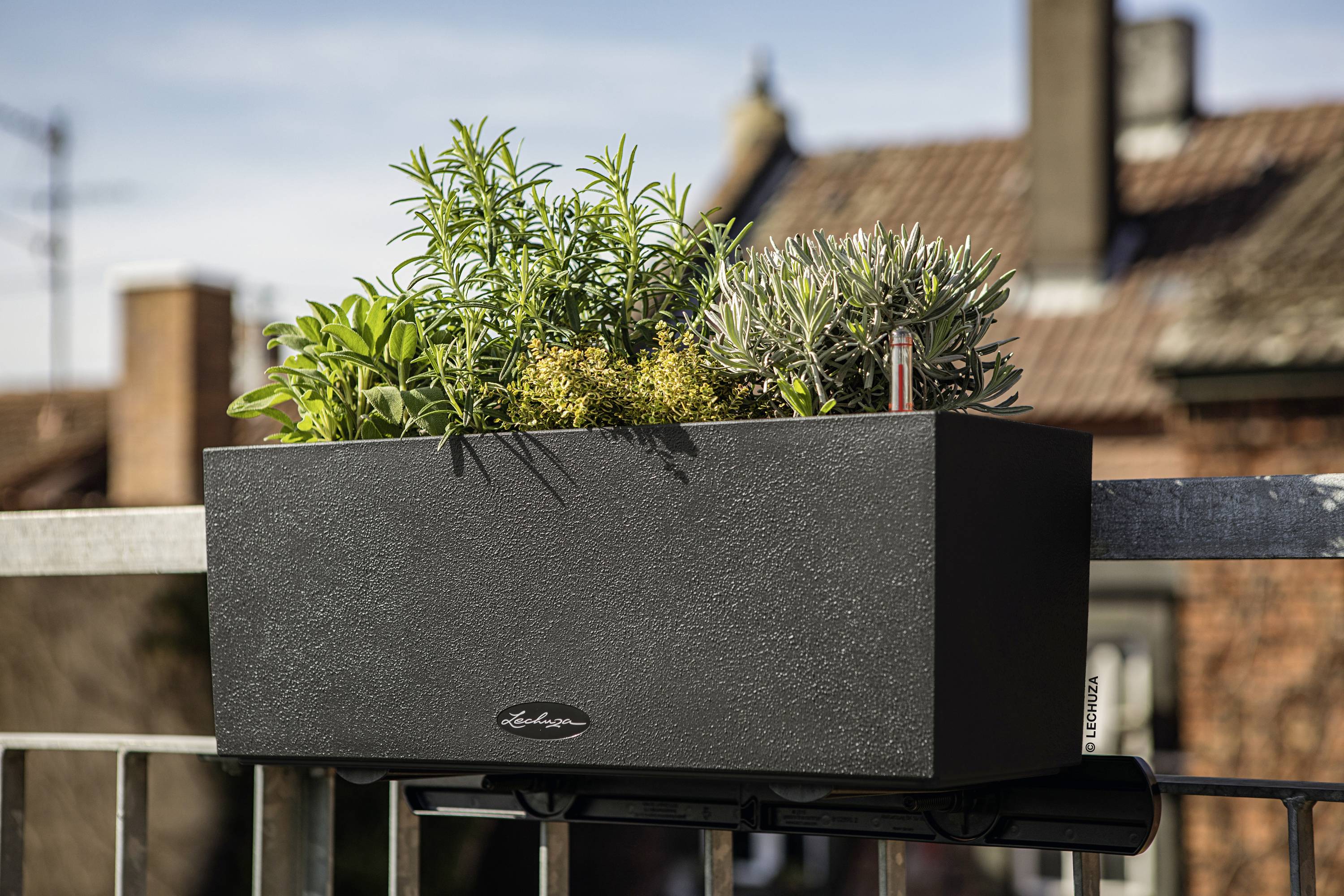 Lechuza BALCONERA Stone 50 15652 Balkonkasten Graphitschwarz