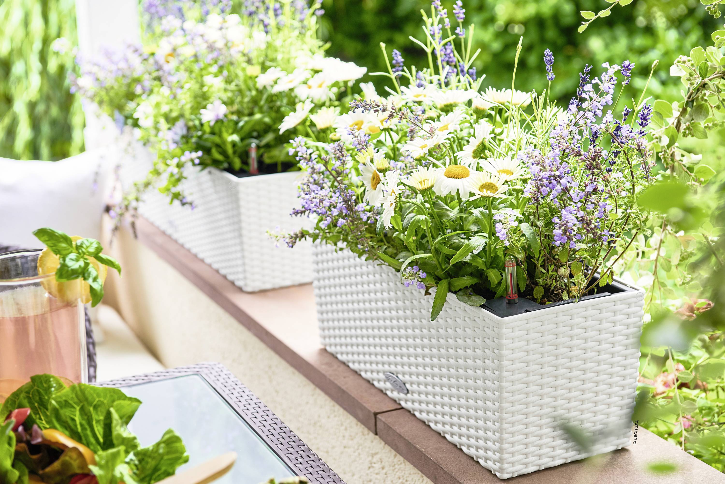 Lechuza BALCONERA Cottage 50 15600 Balkonkasten Weiß