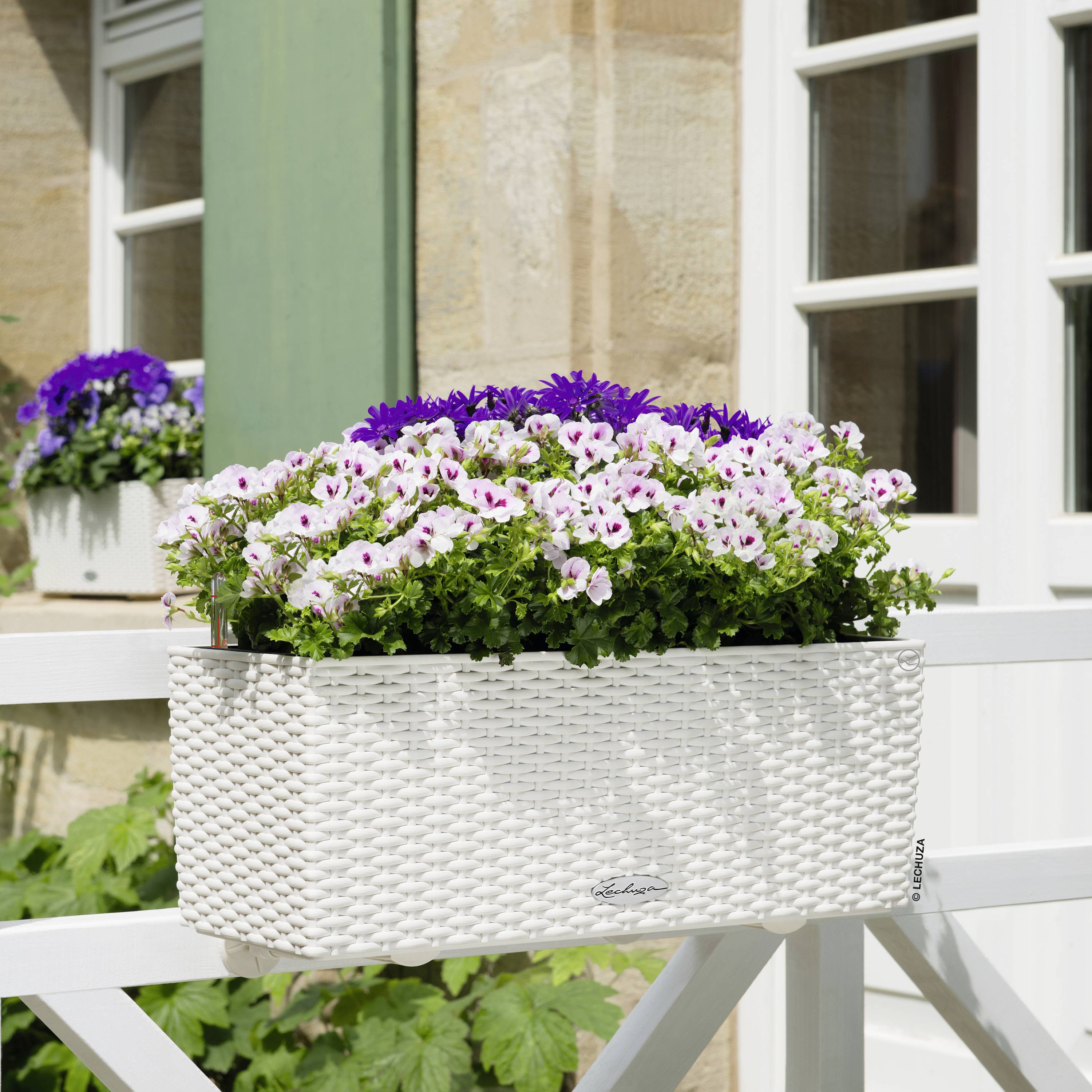 Lechuza BALCONERA Cottage 50 15600 Balkonkasten Weiß