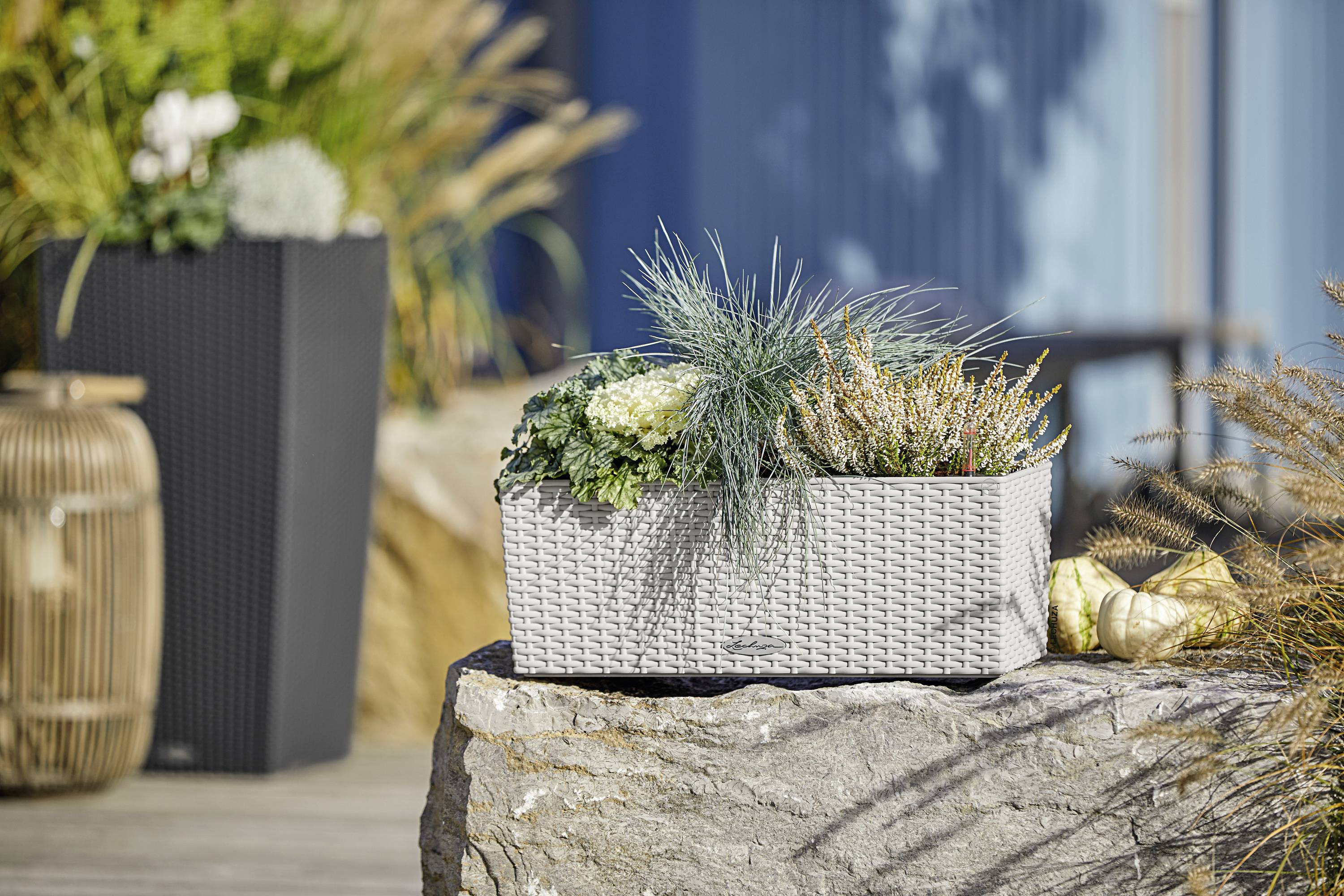 Lechuza BALCONERA Cottage 50 15600 Balkonkasten Weiß