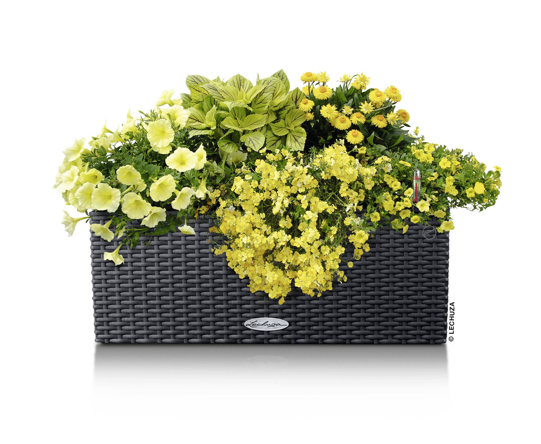 Lechuza BALCONERA Cottage 50 15602 Balkonkasten Granit