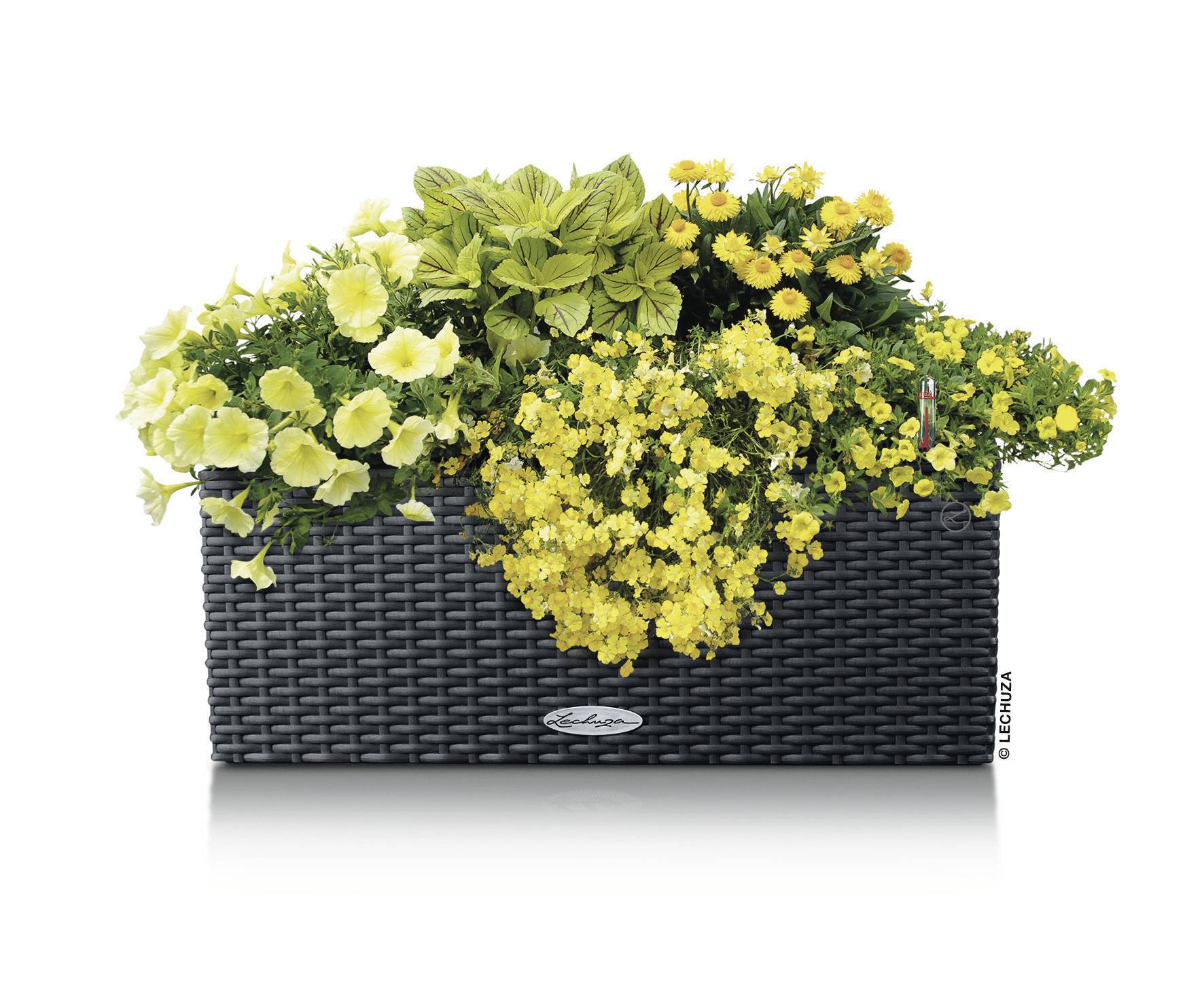 Lechuza BALCONERA Cottage 50 15602 Balkonkasten Granit