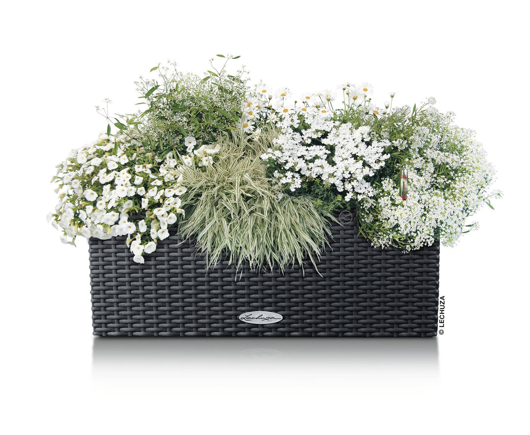 Lechuza BALCONERA Cottage 50 15602 Balkonkasten Granit