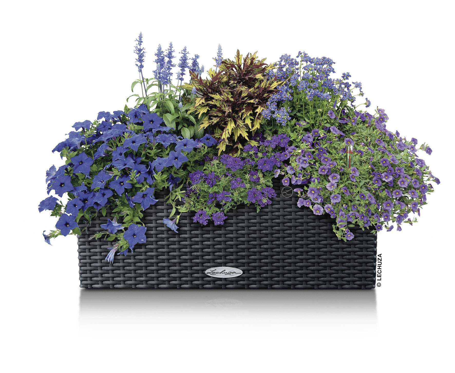 Lechuza BALCONERA Cottage 50 15602 Balkonkasten Granit