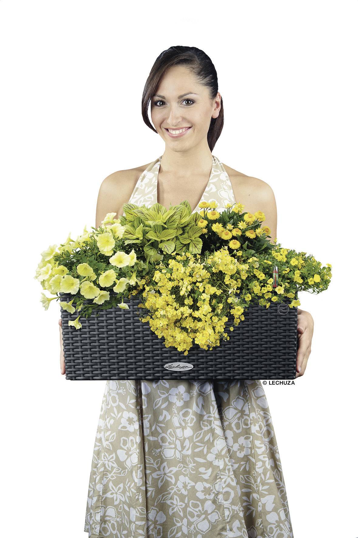 Lechuza BALCONERA Cottage 50 15602 Balkonkasten Granit